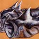Horseshoe Crab